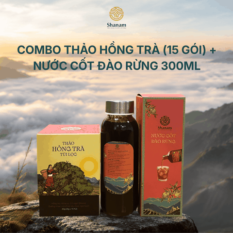 COMBO MIX 2 (THẢO HỒNG TRÀ HỘP TÚI LỌC 30G + NƯỚC CỐT ĐÀO RỪNG CHAI 300ML)