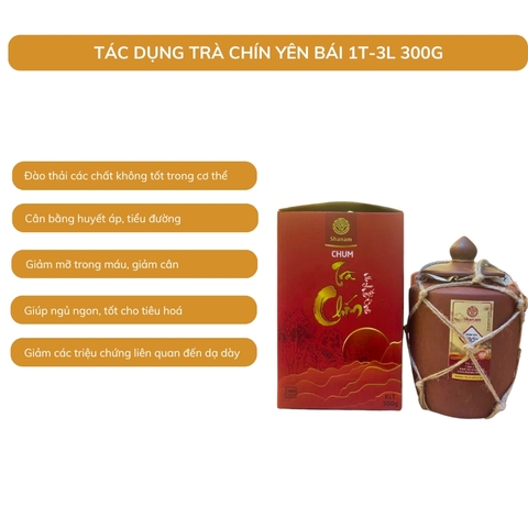TRÀ VÀNG - CHUM TRÀ CHÍN YÊN BÁI 1 TÔM - 3 LÁ 300G