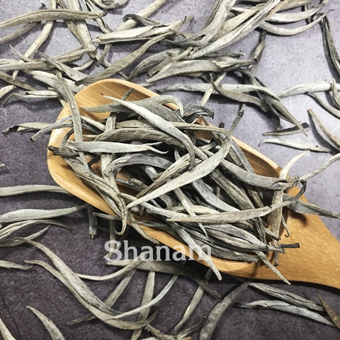CHUM BẠCH TRÀ THIÊN TÀ XÙA 100G