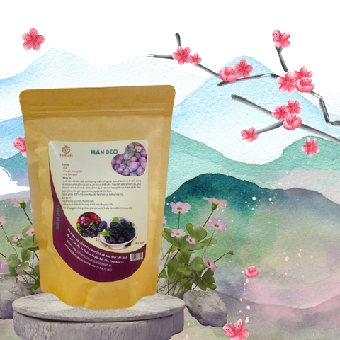 MẬN SẤY DẺO TÚI 500G