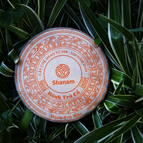 BÁNH BẠCH TRÀ MÂY 2023 TÀ XÙA 1 TÔM - 2 LÁ 300G BTR