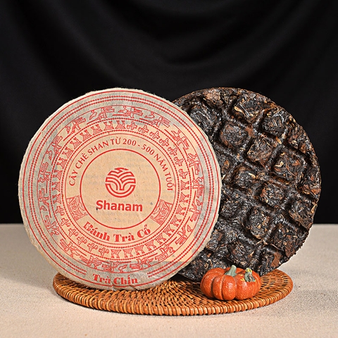 TRÀ VÀNG - BÁNH TRÀ CHÍN 2020 YÊN BÁI 1 TÔM - 2 LÁ 300G BTR