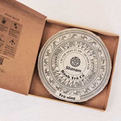 TRÀ VÀNG - CHUM MIX 12 BÁNH TRÀ SỐNG 2024 YÊN BÁI 1 TÔM - 3 LÁ