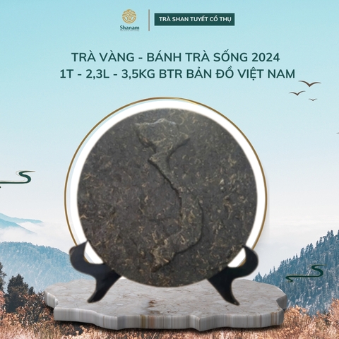 TRÀ VÀNG - BÁNH TRÀ SỐNG 2024 1 TÔM - 2 LÁ - 3,5KG BTR BẢN ĐỒ VIỆT NAM
