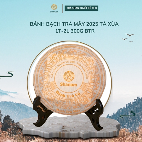 BÁNH BẠCH TRÀ MÂY 2025 TÀ XÙA 1 TÔM - 2 LÁ 300G BTR