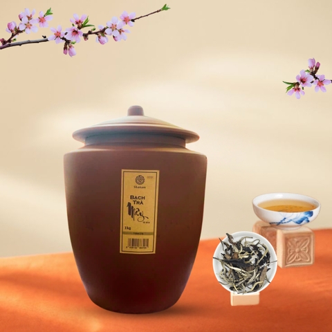CHUM BẠCH TRÀ MÂY TÀ XÙA 1 TÔM -2 LÁ 1KG