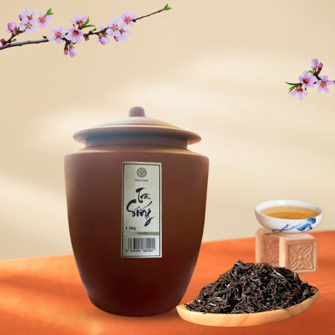 CHUM TRÀ SỐNG YÊN BÁI 1 TÔM - 3 LÁ 1.5KG