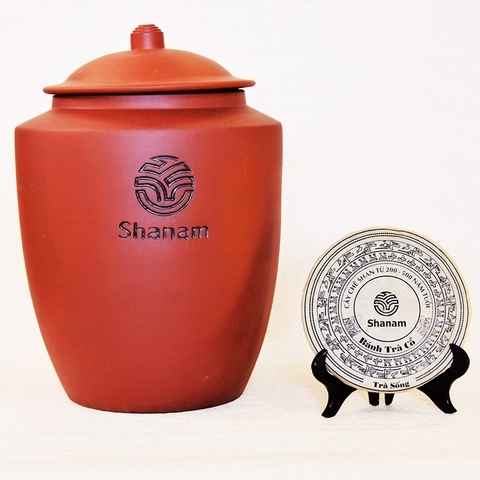 TRÀ VÀNG - CHUM MIX 12 BÁNH TRÀ SỐNG 2024 YÊN BÁI 1 TÔM - 3 LÁ