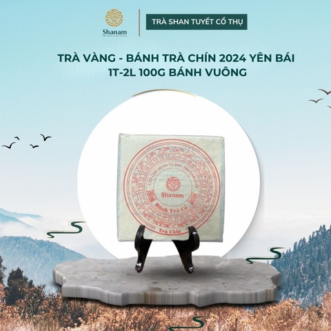 TRÀ VÀNG - BÁNH TRÀ CHÍN 2024 YÊN BÁI 1T-2L 100G BÁNH VUÔNG