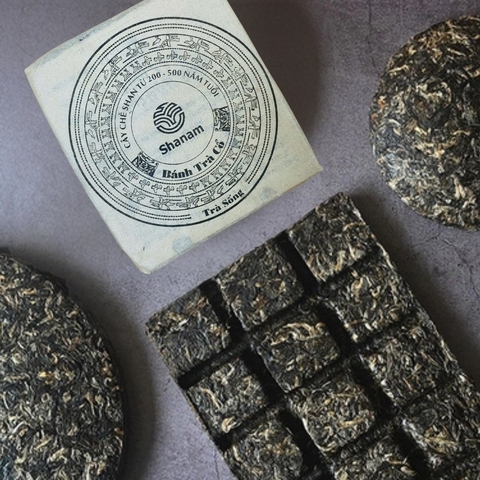 TRÀ VÀNG - BÁNH TRÀ SỐNG 2020 YÊN BÁI 1 TÔM - 3 LÁ 100G HCN