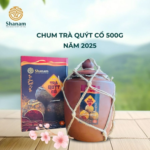 CHUM TRÀ QUÝT CỔ 500G NĂM 2025