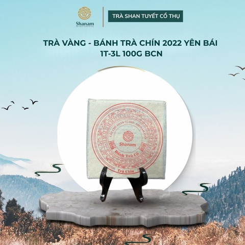 TRÀ VÀNG - BÁNH TRÀ CHÍN 2022 YÊN BÁI 1 TÔM - 3 LÁ 100G BCN