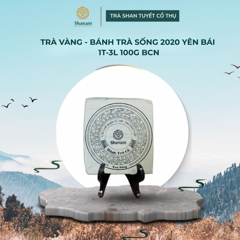 TRÀ VÀNG - BÁNH TRÀ SỐNG 2020 YÊN BÁI 1 TÔM - 3 LÁ 100G HCN
