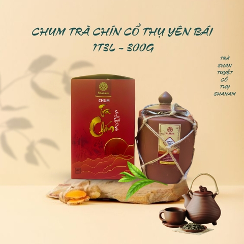 TRÀ VÀNG - CHUM TRÀ CHÍN YÊN BÁI 1 TÔM - 3 LÁ 300G