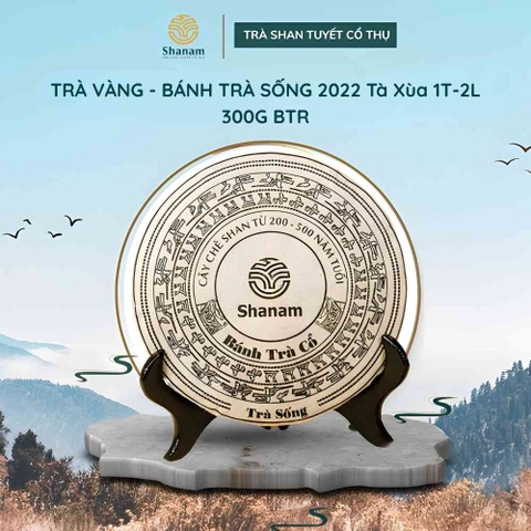 TRÀ VÀNG - BÁNH TRÀ SỐNG 2022 Tà Xùa 1T-2L 300G BTR