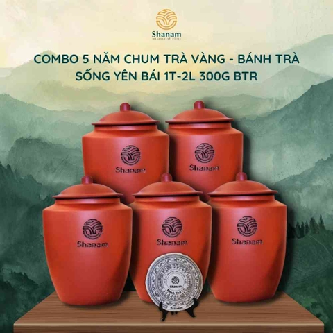COMBO 5 NĂM CHUM TRÀ VÀNG - BÁNH TRÀ SỐNG YÊN BÁI 1T-2L 300G BTR