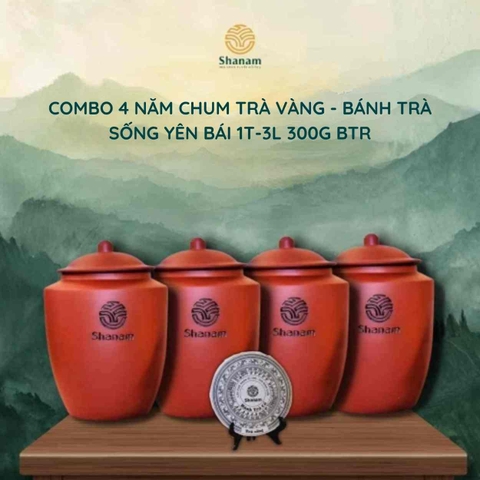 COMBO 4 NĂM CHUM TRÀ VÀNG - BÁNH TRÀ SỐNG YÊN BÁI 1T-3L 300G BTR