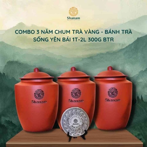 COMBO 3 NĂM CHUM TRÀ VÀNG - BÁNH TRÀ  SỐNG YÊN BÁI 1T-2L 300G BTR