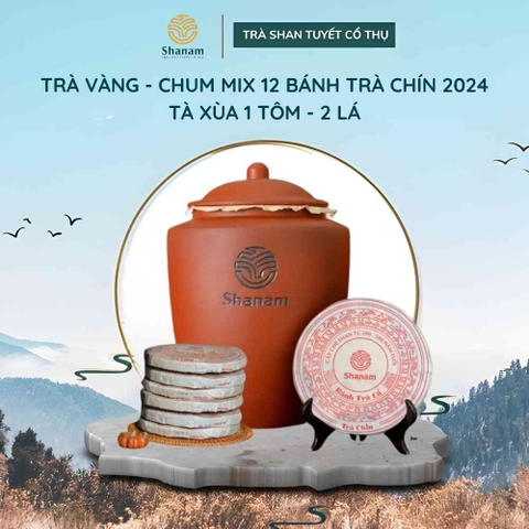 TRÀ VÀNG - CHUM MIX 12 BÁNH TRÀ CHÍN 2024 TÀ XÙA 1 TÔM - 2 LÁ