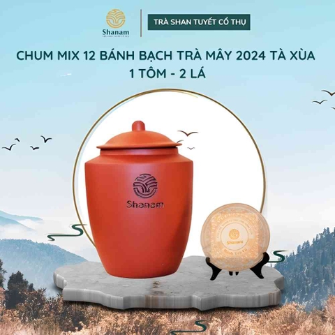 CHUM MIX 12 BÁNH BẠCH TRÀ MÂY 2024 TÀ XÙA 1 TÔM - 2 LÁ