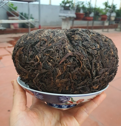 QUẢ TRÀ TRÀ VÀNG - TRÀ SỐNG 2021 YÊN BÁI 1T-3L 1KG