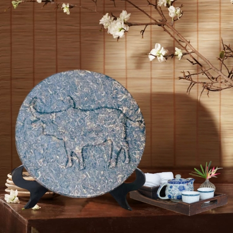 TRÀ VÀNG - BÁNH TRÀ SỐNG 2024 YÊN BÁI 1 TÔM - 2 LÁ 3,5KG BTR CON GIÁP SỬU