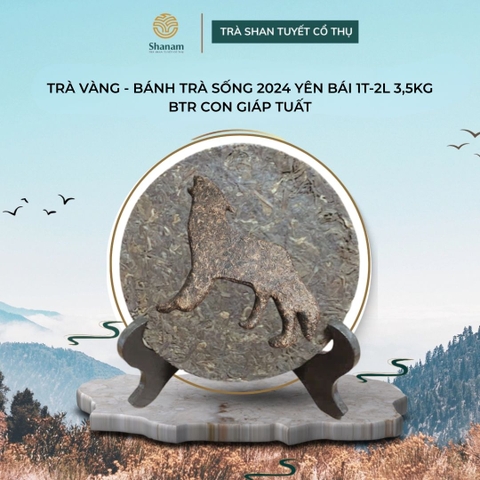 TRÀ VÀNG - BÁNH TRÀ SỐNG 2024 YÊN BÁI 1T-2L 3,5KG BTR CON GIÁP TUẤT