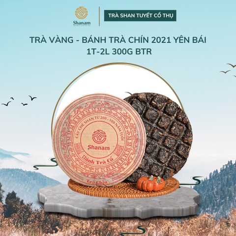 TRÀ VÀNG - BÁNH TRÀ CHÍN 2021 YÊN BÁI 1T-2L 300G BTR