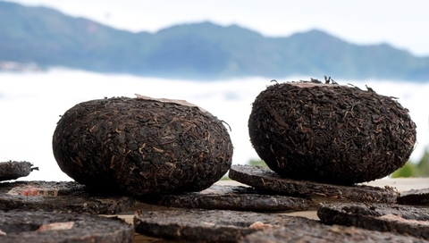 QUẢ TRÀ TRÀ VÀNG - TRÀ SỐNG 2021 YÊN BÁI 1T-3L 1KG