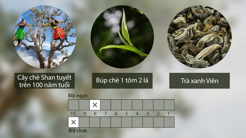 Trà xanh Viên hộp 80G