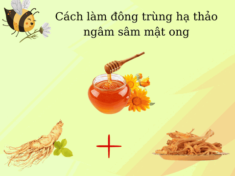 Cách Ngâm Đông Trùng Hạ Thảo Với Sâm Mật Ong