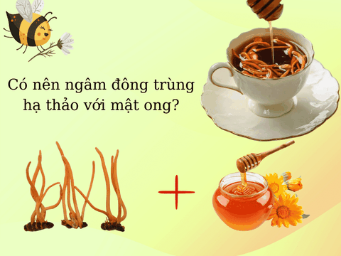 Đông Trùng Hạ Thảo Nguyên Con Ngâm Mật Ong: Cách Ngâm & Cách Dùng