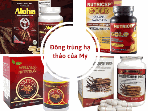 Top 6+ Loại Đông Trùng Hạ Thảo Của Mỹ Tốt Nhất