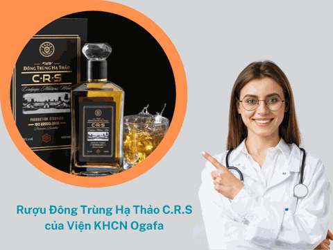 Top 5+ địa chỉ mua rượu đông trùng hạ thảo chất lượng mẫu mã đẹp