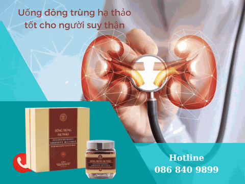 Lưu Ý Người Suy Thận Có Nên Uống Đông Trùng Hạ Thảo Không?