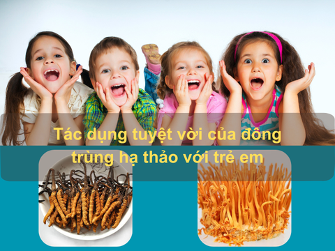 6 Tác Dụng Của Đông Trùng Hạ Thảo Với Trẻ Em Và Lưu Ý Cần Biết