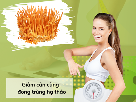 Uống đông trùng hạ thảo có béo không? Giải đáp theo khoa học