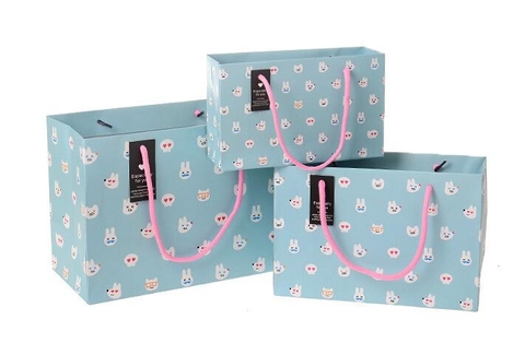 Túi quà ngang dọc số 3