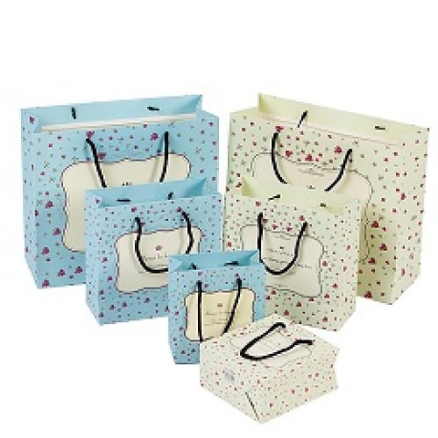 Túi quà ngang dọc số 4