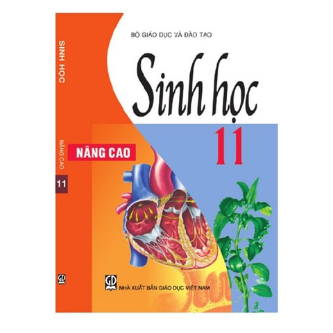 SINH HỌC NÂNG CAO LỚP 11