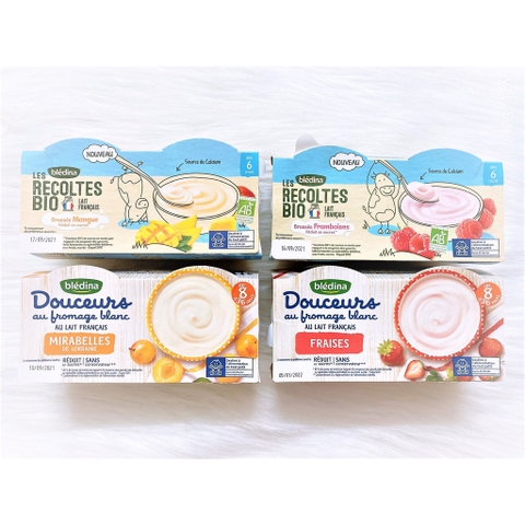 Sữa chua phô mai Bledina