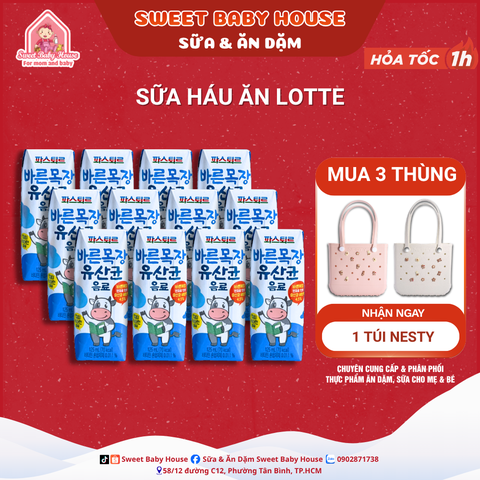 Sữa háu ăn Lotte Hàn Quốc bổ sung lợi khuẩn giúp ăn ngon tăng cân cho bé từ 1 tuổi - Sweet Baby House