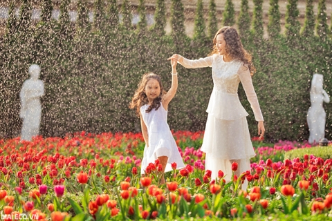 Tour Đà Nẵng 4 Ngày 3 Đêm I Bà Nà - Hội An - Cù Lao Chàm - Ngũ Hành Sơn - Bán Đảo Sơn Trà