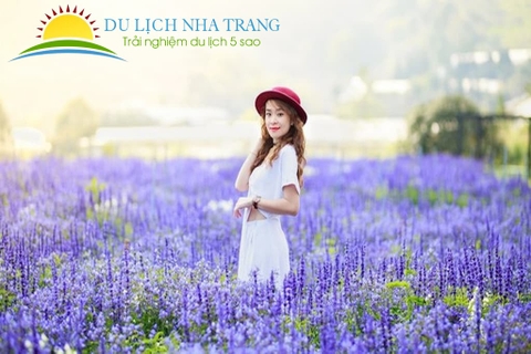 Tour Du Lịch Nha Trang - Đà Lạt 5 ngày 4 đêm