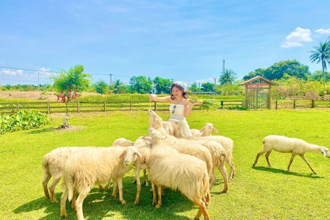 Tour Đồng Cừu- Hang Rái- Vĩnh Hy - Vườn Nho 1 ngày
