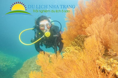 Tour lặn biển Nha Trang