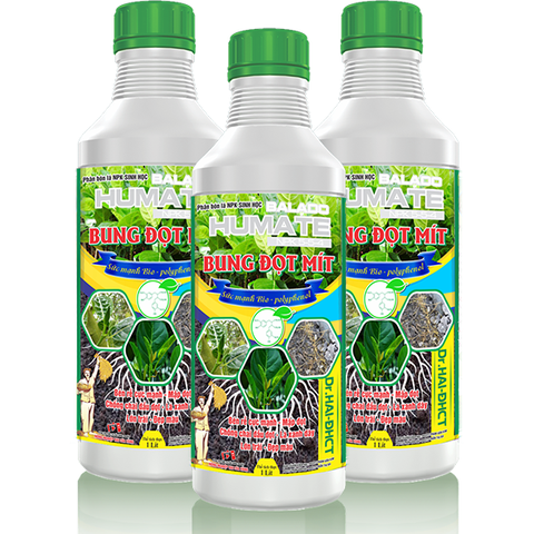 HUMATE BUNG ĐỌT MÍT