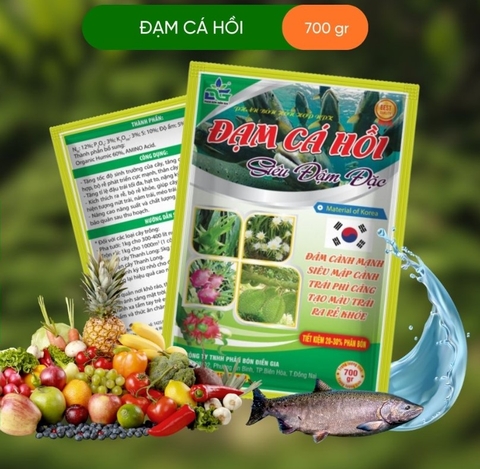 ĐẠM CÁ HỒI