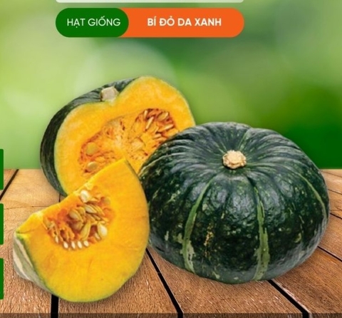 HẠT GIỐNG BÍ ĐỎ DA XANH