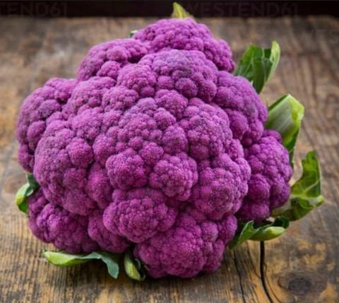 HẠT GIỐNG BÔNG CẢI TÍM